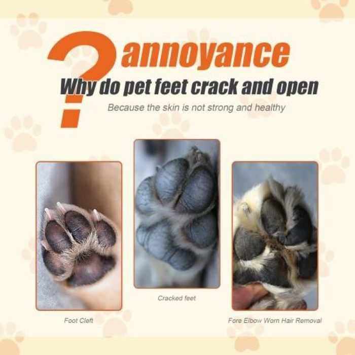 PetHaven.comNatural Plant Formula Pet Paw BalmNatural Plant Formula Pet Paw BalmNatural Plant Formula Pet Paw Balm
Soothe and protect your furry friend's paws with our Natural Plant Formula Pet Paw Balm. Made from 100% natural ingredients, this pet care