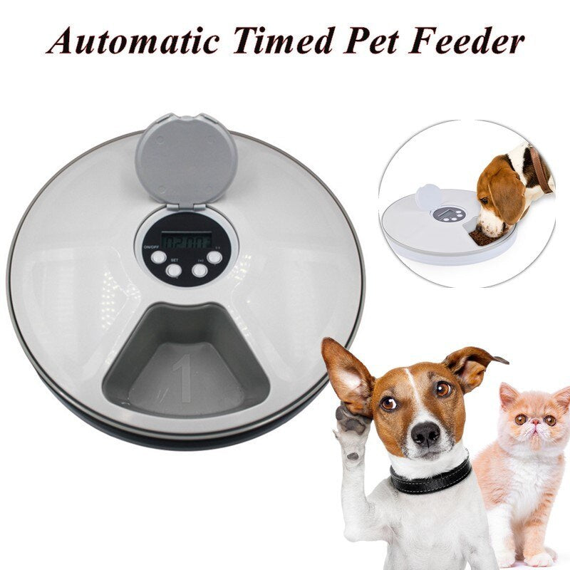 PetHaven.comAutomated Pet Feeder with MusicAutomated Pet Feeder with Music | Convenient & Fun Feeding SolutionKeep Your Pets Happy and Fed with an Automated Pet Feeder with Music
Make pet care convenient with our Automated Pet Feeder with Music, designed to keep your pets webowls