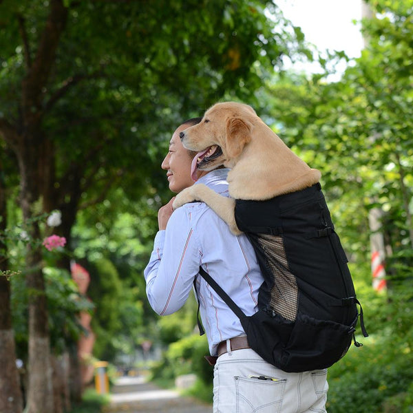 PetHaven.comBreathable Pet BackpackVentilated And Breathable Pet BackpackBreathable Pet Backpack for Comfortable and Safe Travel
The Breathable Pet Backpack is the perfect solution for pet owners on the go. This Breathable Pet Backpack enaccessories