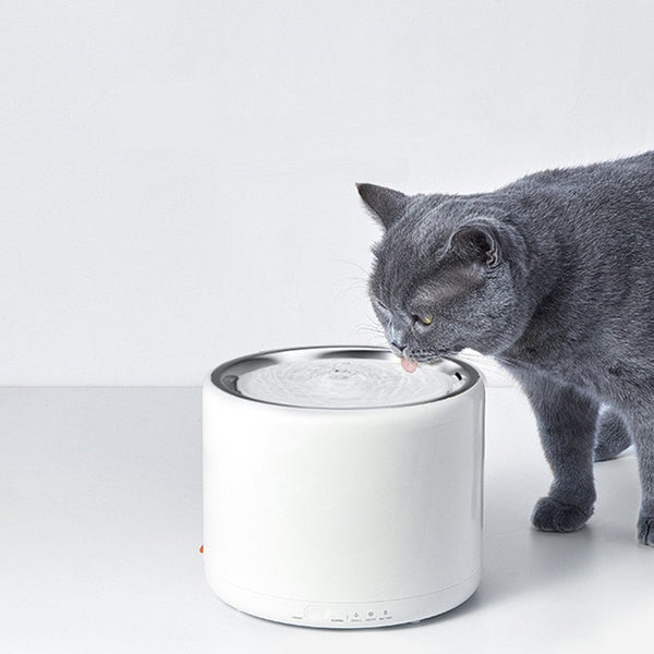 PetHaven.comPet water dispenserPet water dispenserMaterial: Stainless steel
 
 Use range: pet
 
 Specifications: Xiaopei 3rd generation waterer + filter 1 box0