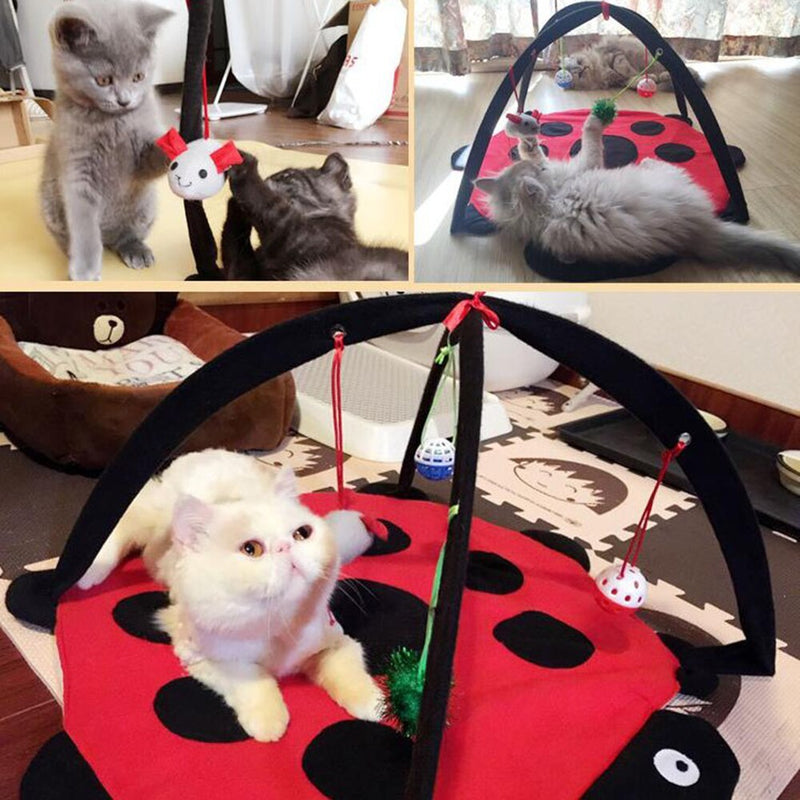 PetHaven.comCartoon Cat Play Tent Multifunctional Cat HammocksCartoon Cat Play Tent Multifunctional Cat Hammocks Kitten Sleep Bed FoCartoon Cat Play Tent Multi-functional Cat Hammocks
Cartoon Cat Play Tent Multi-functional Cat Hammocks
Cartoon Cat Play Tent Multi-functional Cat Hammocks
Cartoon Caccessories