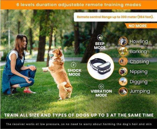 PetHaven.cominvisible fenceinvisible fenceKeep your pets safe and secure with our reliable invisible fence system. Designed for both convenience and safety, the invisible fence creates a customizable boundarcollar