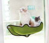 PetHaven.comWindow sill cat hammockWindow sill cat hammockSize: 59*22*13cm
 
 Material: EVA + felt cloth
 
 Product Features / Features:
 
 
 A wrapped suction cup cat hammock for winter and summer
 
 
 1. The cat litter isDog/Cat house