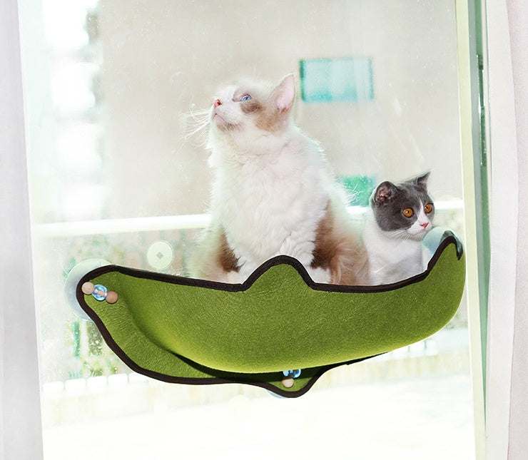 PetHaven.comWindow sill cat hammockWindow sill cat hammockSize: 59*22*13cm
 
 Material: EVA + felt cloth
 
 Product Features / Features:
 
 
 A wrapped suction cup cat hammock for winter and summer
 
 
 1. The cat litter isDog/Cat house