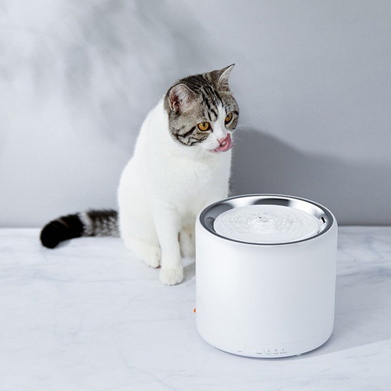 PetHaven.comPet water dispenserPet water dispenserMaterial: Stainless steel
 
 Use range: pet
 
 Specifications: Xiaopei 3rd generation waterer + filter 1 box0