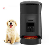 PetHaven.comPet feeder automaticPet feeder automaticMaterial: ABS
 
 Colors: White, Black
 
 Applicable pets: general
 
 Applicable scene: family
 
 Capacity: 4L
 
 Features: visible transparent top cover, separate gr0