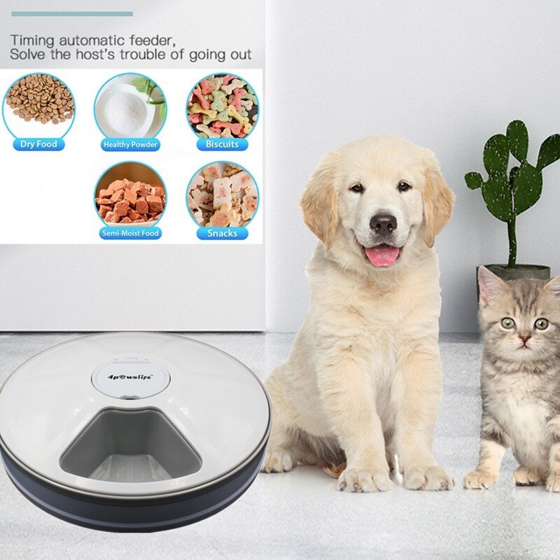 PetHaven.comAutomated Pet Feeder with MusicAutomated Pet Feeder with Music | Convenient & Fun Feeding SolutionKeep Your Pets Happy and Fed with an Automated Pet Feeder with Music
Make pet care convenient with our Automated Pet Feeder with Music, designed to keep your pets webowls