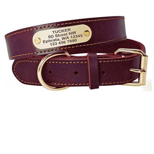 PetHaven.comPersonalized Dog CollarsPersonalized Dog Collars with Nameplate ID Tags for Medium Large DogsGive Your Pet a Stylish and Secure Look with Personalized Dog Collars
Make your furry friend stand out with our Personalized Dog Collars, combining style, comfort, a7