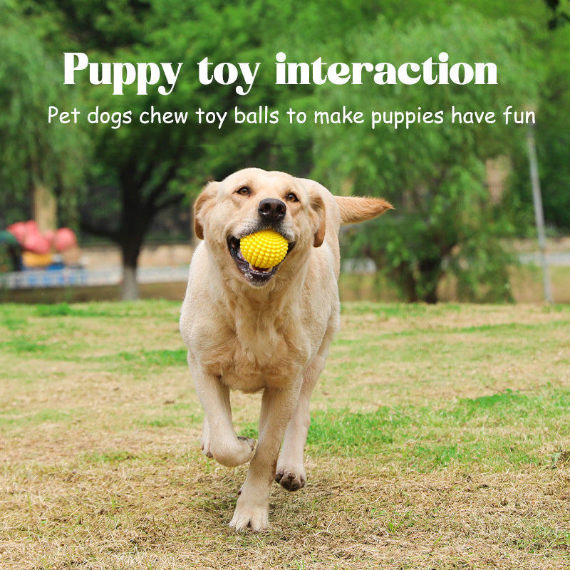 PetHaven.comSugar Squeaky Dog Toys Aggressive Chew Large Medium Dogs Unbreakable ToughSugar Squeaky Dog Toys Aggressive Chew Large Medium Dogs  Unbreakable 4