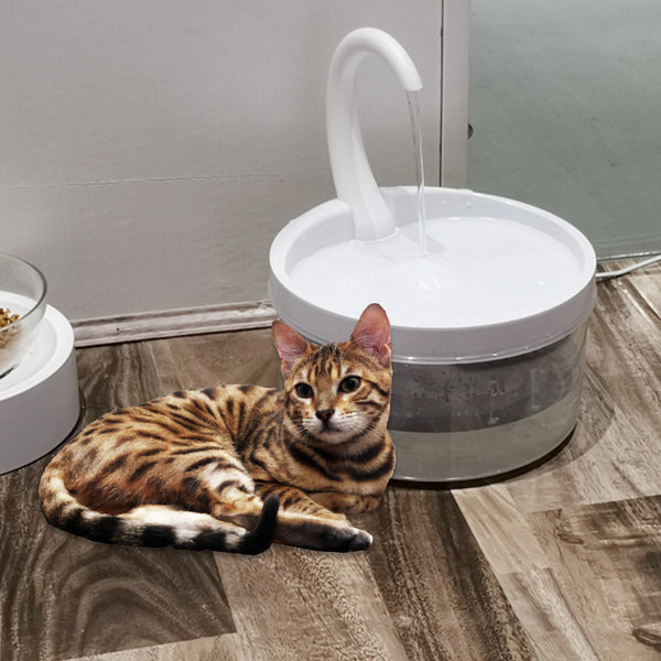 PetHaven.comCat Drinking Fountain Pet SuppliesCat Drinking Fountain Pet SuppliesProduct information: 
 

Name: Pet water dispenser
Volume: 2L
Voltage: USB, 5V
Material: Food grade safe plastic.0