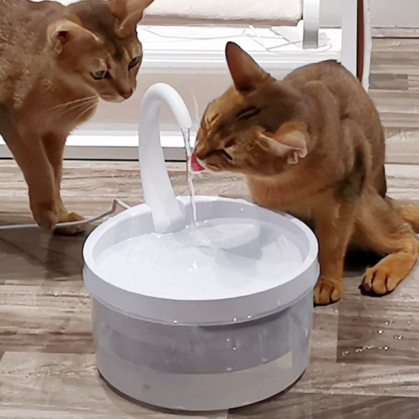 PetHaven.comCat Drinking Fountain Pet SuppliesCat Drinking Fountain Pet SuppliesProduct information: 
 

Name: Pet water dispenser
Volume: 2L
Voltage: USB, 5V
Material: Food grade safe plastic.0