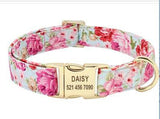 PetHaven.comPet Dog Collar Collar Supplies Large Dog BrandPet Dog Collar Collar Supplies Large Dog Brand Name Lettering Anti-losPremium Pet Dog Collar Collar Supplies Large Dog Brand
Introducing the ultimate Pet Dog Collar Collar Supplies Large Dog Brand. from our trusted Designed specificall7