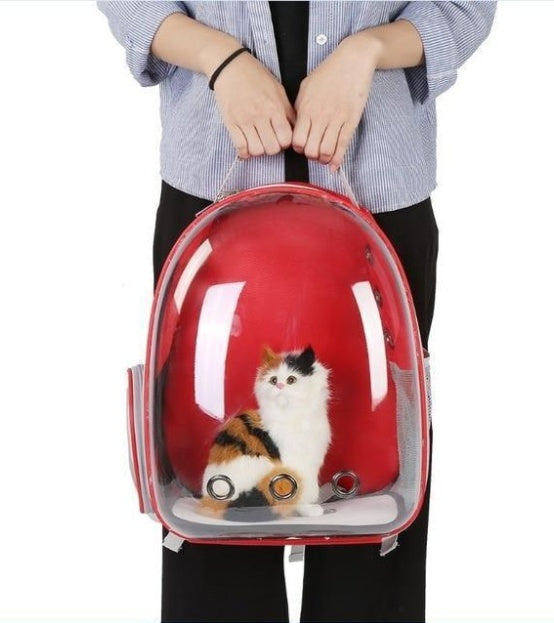 PetHaven.comcat bag full transparent pet space bagCat Bag Full Transparent Pet Space BagIntroducing the Cat Bag Full Transparent Pet Space Bag, the perfect solution for traveling with your feline friend. This stylish and functional bag is designed to praccessories