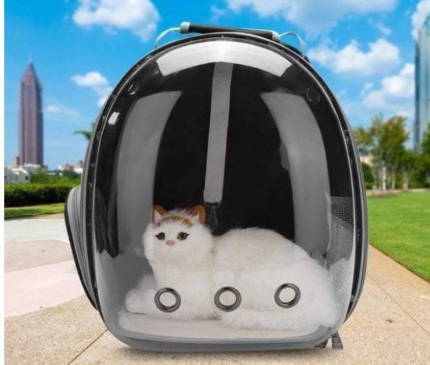 PetHaven.comcat bag full transparent pet space bagCat Bag Full Transparent Pet Space BagIntroducing the Cat Bag Full Transparent Pet Space Bag, the perfect solution for traveling with your feline friend. This stylish and functional bag is designed to praccessories