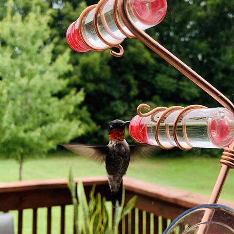 PetHaven.comGarden Bird Feeder Supplies Hummingbird Feeder Drinker Suction Cup EasyGarden Bird Feeder Supplies Hummingbird Feeder Drinker Suction Cup EasOverview
 
 1. This beautiful hummingbird feeder is handmade with copper wire, 2 PET bottles and suction cups.
 
 2. The 20ml bottle can be firmly installed in the c0
