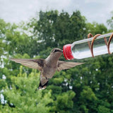 PetHaven.comGarden Bird Feeder Supplies Hummingbird Feeder Drinker Suction Cup EasyGarden Bird Feeder Supplies Hummingbird Feeder Drinker Suction Cup EasOverview
 
 1. This beautiful hummingbird feeder is handmade with copper wire, 2 PET bottles and suction cups.
 
 2. The 20ml bottle can be firmly installed in the c0