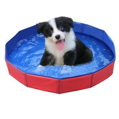 PetHaven.comPet Wading Pool Folding Bath TubPet Wading Pool Folding Bath TubProduct information：
 


 Material: pvc
 
 Product Category: Bath/Massage Brush
 
 Color: blue, red


 Size information：


 Specifications: 60*20cm red, 80*20cm red,0