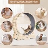 PetHaven.comIndoor Cat Sports WheelIndoor Cat Sports Wheel【Latest Cat Running Wheel】Most pet cats are overweight because they spend long hours indoors and lack exercise. Cat Exercise Wheel for Indoor Cat. And running is theaccessories
