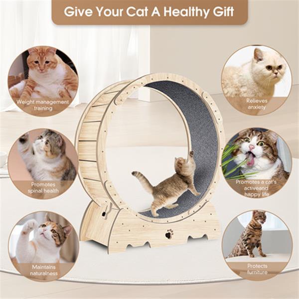 PetHaven.comIndoor Cat Sports WheelIndoor Cat Sports Wheel【Latest Cat Running Wheel】Most pet cats are overweight because they spend long hours indoors and lack exercise. Cat Exercise Wheel for Indoor Cat. And running is theaccessories