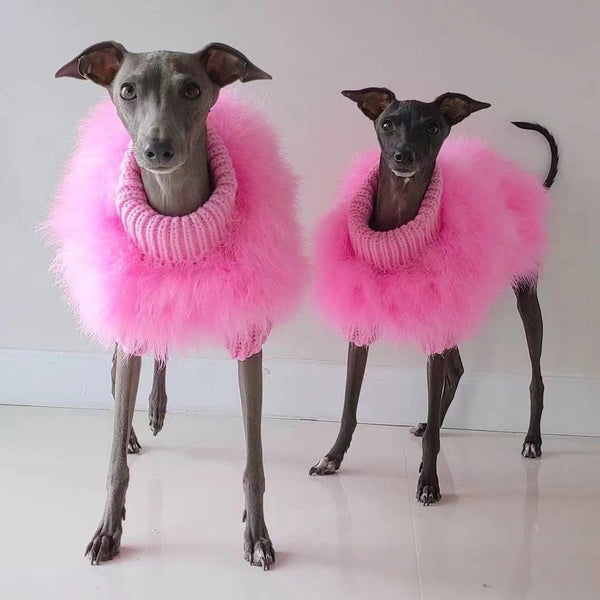 PetHaven.comWinter Sweater Jarre Aero Bull VIP DogsAutumn And Winter Sweater Jarre Aero Bull VIP Dogs And Cats Pet ClotheProduct information:
 
 Color: pink, blue
 
 Size: S, M, L, XL
 
 Material: Wool
 
 Category: pet clothing

Size:


 
Packing list: 

Pet clothing x 1pc 
Product Ima0