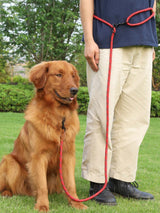 PetHaven.comPet Multifunctional Adjustable Reflective Hand Holding RopePet Multifunctional Adjustable Reflective Hand Holding RopeProduct information: 
Pet Multifunctional Adjustable Reflective Hand Holding Rope is the perfect accessory for every pet owner who loves to go on outdoor adventures pet walker