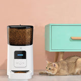 PetHaven.comPet automatic smart feederPet automatic smart feederApplicable objects: Dogs and cats
 
 Removable: Removable
 
 Product weight: 1.9KG
 
 Color: transparent white, diamond black
 
 After-sales service: Three guarantee0