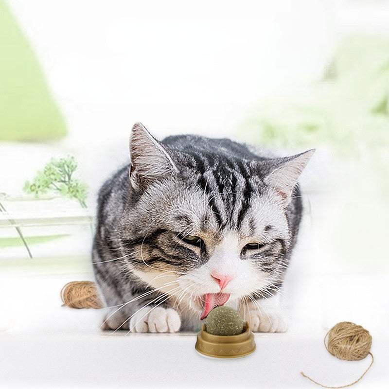 PetHaven.comCatnip Balls Cat Treats Rotary Molar Teeth CleaningCatnip Balls Cat Treats Rotary Molar Teeth CleaningProduct Details:
  
 


 Weight: 30g
 
 Flavor: Mint
 
 Applicable object: cat
 
 Pattern: plain
 
 Main ingredients: catnip / gall fruit powder / polygonum multiflopet care