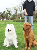 PetHaven.comPet Multifunctional Adjustable Reflective Hand Holding RopePet Multifunctional Adjustable Reflective Hand Holding RopeProduct information: 
Pet Multifunctional Adjustable Reflective Hand Holding Rope is the perfect accessory for every pet owner who loves to go on outdoor adventures pet walker
