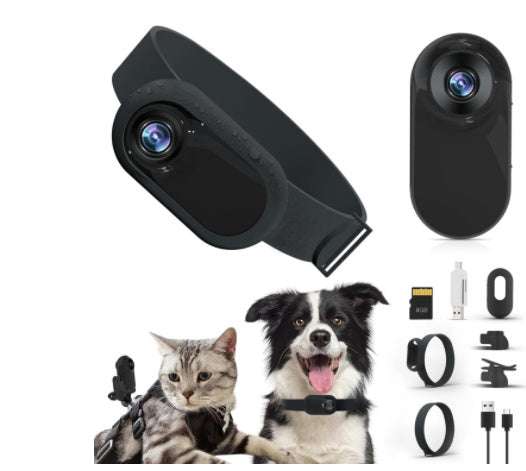PetHaven.comDog Collar Camera IndoorPet Supplies Cat And Dog Collar Camera Indoor And Outdoor Wireless RecProduct information:
 
 Color: Black
 
 Specifications: black (collar), Black (collar camera)
 
 Material: Silicone
 
 Applicable object: general
 
 Suitable season:accessories
