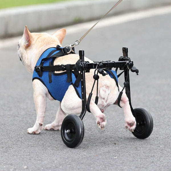 Blue Pet Disabled Dog Wheelchair Scooter made of aluminum alloy for dogs.