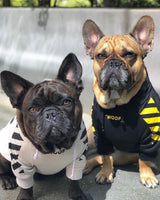 PetHaven.comPet tide brand dogPet tide brand dog plus velvet thick sweaterPet Tide Brand Dog Treats – Healthy &amp; Delicious Snacks for Your Dog
Pet Tide brand dog treats are the perfect choice for your furry friend. Made with high-qualitclothes