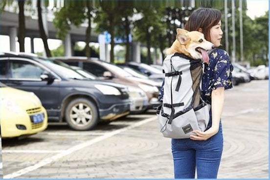 PetHaven.comBreathable Pet BackpackVentilated And Breathable Pet BackpackBreathable Pet Backpack for Comfortable and Safe Travel
The Breathable Pet Backpack is the perfect solution for pet owners on the go. This Breathable Pet Backpack enaccessories