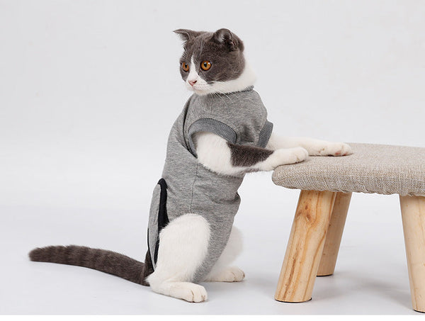 PetHaven.comPet Cat RecoveryPet Cat Recovery After Surgery Clothing Pet Wound Anti-mite SterilizatPet Cat Recovery: Support Your Feline's Healing Journey
Ensure your pet’s comfort and recovery with our Pet Cat Recovery product. Specially designed to assist in theclothes