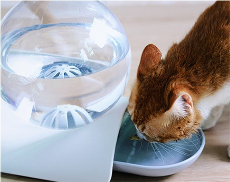 PetHaven.comPet automatic drinking fountainPet automatic drinking fountainMaterial: ball / AS; other / PP
 
 Product size: 29*18*23 cm
 
 Capacity: 2.8L
 
 Compact body, spherical water bottle, large capacity. Semi-circular small bowl to e0