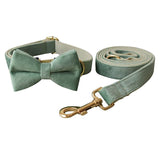 PetHaven.comMint Green Dog Collar LeashMint Green Dog Collar LeashThe Mint Green Dog Collar Leash is the perfect combination of style and durability for your furry companion. Made from high-quality materials, this Mint Green Dog Coaccessories