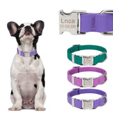 PetHaven.comWaterproof Adjustable Silicone Pet Traction RopeWaterproof Adjustable Silicone Pet Traction RopeEnsure your pet’s safety and comfort during outdoor adventures with the Waterproof Adjustable Silicone Pet Traction Rope. Crafted from high-quality silicone, this tr7