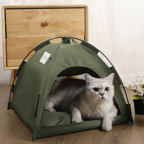 PetHaven.comCat TentCat Tent Cooling Mat  Dog House Pet Sofa Camping Dog Bed With Cushion Overview: 


Our Cat Tent provides the perfect retreat for your cat to relax and unwind. Designed with comfort in mind, this Cat Tent offers a safe, enclosed space faccessories
