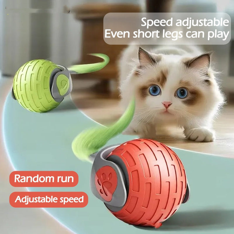 PetHaven.comcat kitty pets smart auto teaser usb rechargeable toy ballcat kitty pets smart auto teaser usb rechargeable toy ballOverview:
 【cat kitty pets smart auto teaser usb rechargeable toy ball】Food grade ABS material, no pressure for cats to bite.
【cat kitty pets smart auto teaser usb rtoys