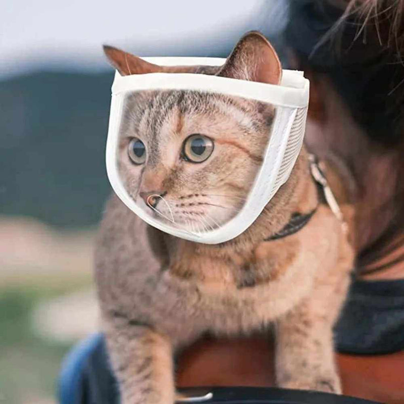 PetHaven.comAnti-Bite pet muzzlesAnti-Bite pet muzzlesProtect your pet and those around you with our high-quality Anti-Bite Pet Muzzles. Designed for comfort and safety, these muzzles are ideal for preventing biting durpet handling