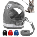 PetHaven.comPet Leash Breathable Mesh Chest BackPet Leash Breathable Mesh Chest BackOverview:
 
 Hook and loop closure, easy to put on and take off
 
 Breathable mesh material. Soft and comfortable, make your pet comfortable to wear
 
 Reflective bepet handling