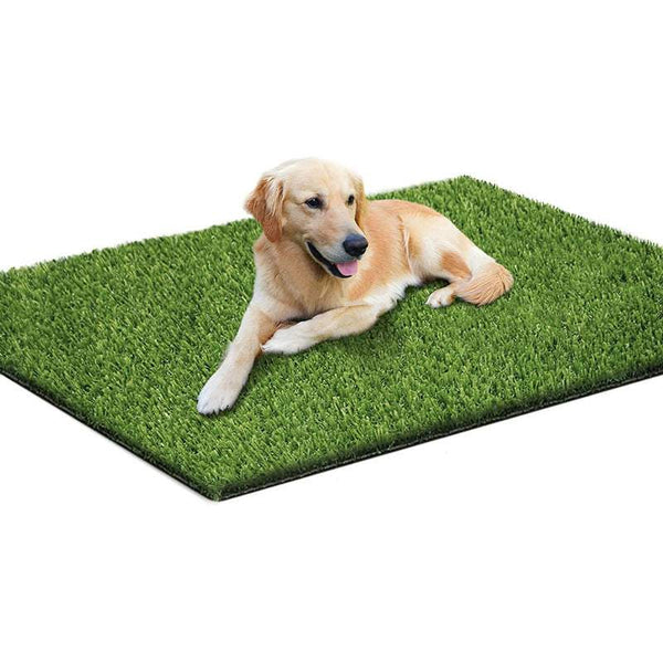PetHaven.comPet Lawn Mat Professional ToiletPet Lawn Mat Professional ToiletProduct information: Pet Lawn Mat Professional ToiletEnsure your pet’s comfort and hygiene with the Pet Lawn Mat Professional Toilet. Designed for pets of all sizes,accessories