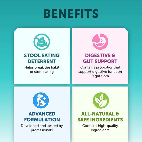 PetHaven.comNatural probiotic supplements for petsNatural probiotic supplements for petsNatural Probiotic Supplements for Pets
Support your pet’s overall health with our Natural Probiotic Supplements for Pets, designed to improve digestion and boost immmeds