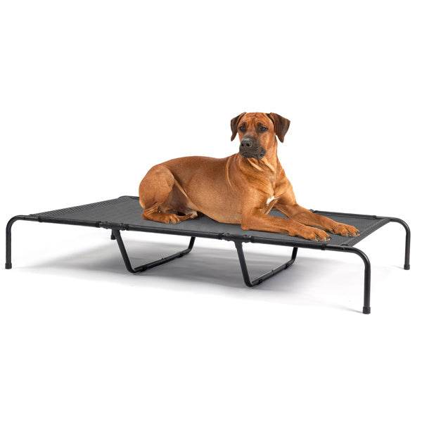 PetHaven.comPet BedsPet BedsIntroductions:
Our premium pet beds are designed to provide ultimate comfort and support for your furry companions. Made with high-quality materials, these pet beds 5