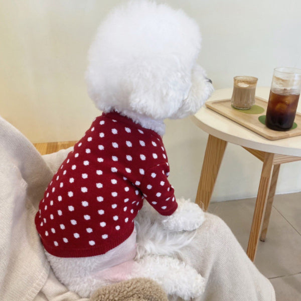 PetHaven.comWinter Pet Knitting Sweater BomeiAutumn And Winter Pet Knitting Sweater BomeiProduct information:
 
 
 Material: knitted
 
 Color: blue (excluding small bags), black squares, pink squares, blue dots, gray dots, red dots, rice double pockets, 0