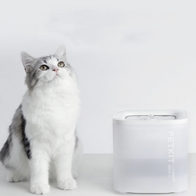 PetHaven.comSmart Pet Water Dispenser Wireless Loop Filter Pet Water BowlSmart Pet Water Dispenser Wireless Loop Filter Pet Water BowlProduct information:
 
 Color: Xiaopei solo SE water dispenser, Xiaopei Solo 2 water dispenser
 
 Specification: SOLO water dispenser
 
 Applicable objects: dogs and0
