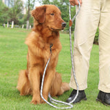 PetHaven.comPet Multifunctional Adjustable Reflective Hand Holding RopePet Multifunctional Adjustable Reflective Hand Holding RopeProduct information: 
Pet Multifunctional Adjustable Reflective Hand Holding Rope is the perfect accessory for every pet owner who loves to go on outdoor adventures pet walker