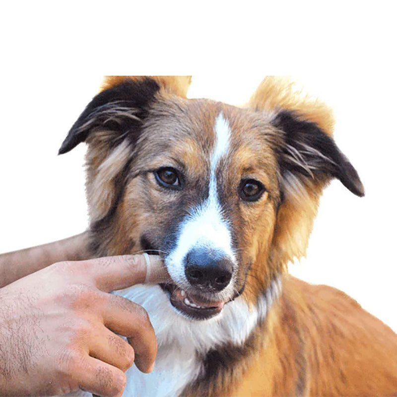 PetHaven.comSoft Silicone Pet Finger ToothbrushSoft Silicone Pet Finger Toothbrush with CaseProduct information:
 
 Product Category Finger Toothbrush
 
 Function To remove stains, gum care
 
 Color blue, white, pink
 
 Material Silicone
 
 Applicable objecpet care