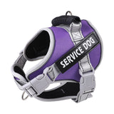 PetHaven.comchest strap scalable for petchest strap scalable for petThe chest strap scalable for pet is designed for ultimate comfort and adjustability. Perfect for all pet sizes, this chest strap scalable for pet ensures a secure anaccessories