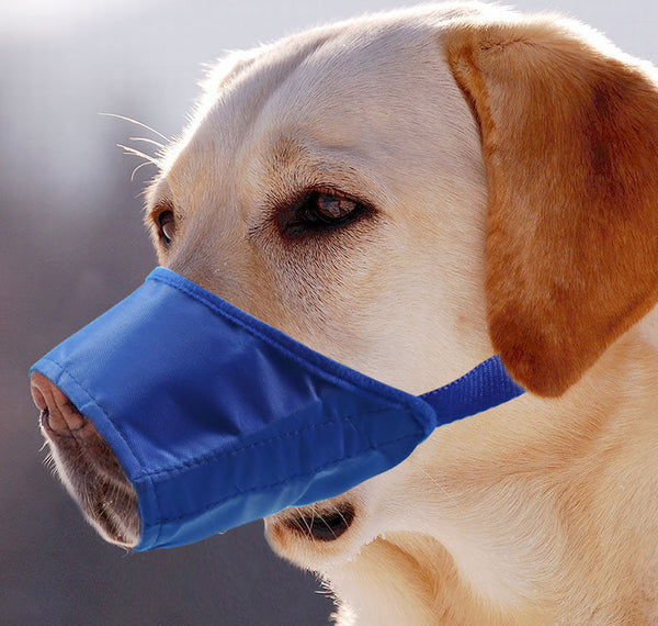 PetHaven.comBreathable Pet Mouth CoverBreathable Pet Mouth CoverEnsure your pet’s comfort and safety with our Breathable Pet Mouth Cover, designed to prevent biting or chewing while allowing unrestricted airflow. Made from durablaccessories