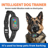 PetHaven.comRechargeable Pet Collar ProductsRechargeable Pet Collar ProductsEnsure your pet’s safety and comfort with our Rechargeable Pet Collar Products, designed for modern pet owners who value quality and reliability. This durable Recharpet handling